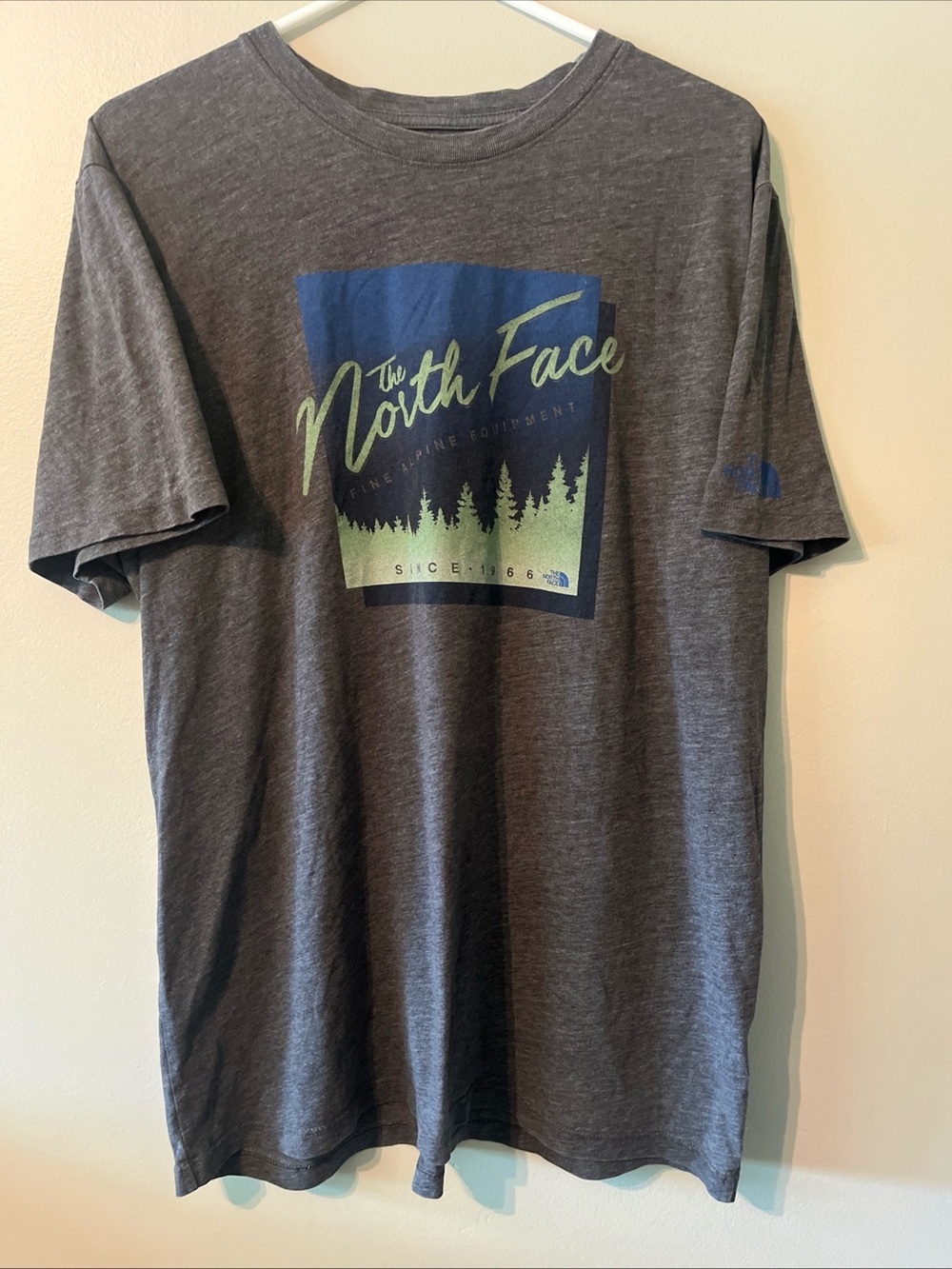 Men’s Northface Gray Blue Green Graphic T-Shirt Short Sleeve Large